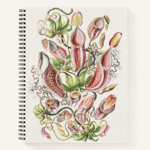 Antieke Ernst Haeckel Botanische Pitcher Plant Notitieboek