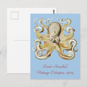 Antieke Ernst Haeckel Octopus Zeevaart Zeeleven Briefkaart