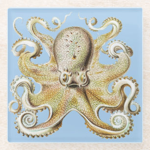 Antieke Ernst Haeckel Octopus Zeevaart Zeeleven Glazen Onderzetter