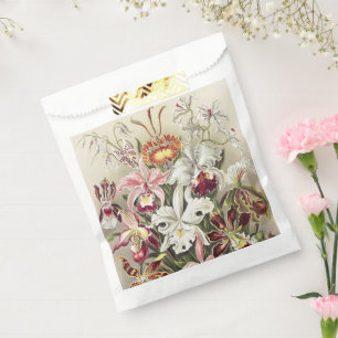 Antieke Ernst Haeckel Orchidee Botanische Print Bedankzakje