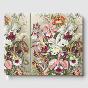 Antieke Ernst Haeckel Orchidee Botanische Print Gastenboek