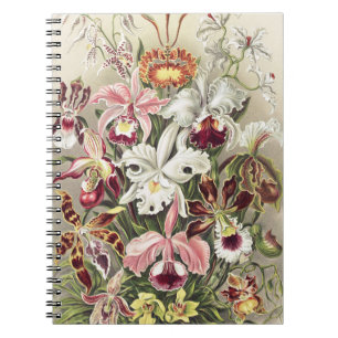 Antieke Ernst Haeckel Orchidee Botanische Print Notitieboek