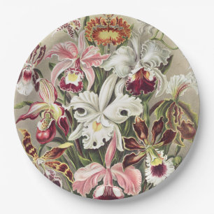 Antieke Ernst Haeckel Orchidee Botanische Print Papieren Bordje