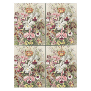 Antieke Ernst Haeckel Orchidee Botanische Print Tafelkleed