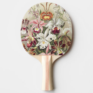 Antieke Ernst Haeckel Orchidee Botanische Print Tafeltennisbatje