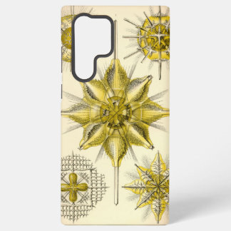 Antieke Ernst Haeckel Samsung Galaxy Hoesje