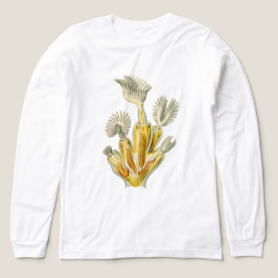 Antieke Ernst Haeckel Tri-Blend Shirt