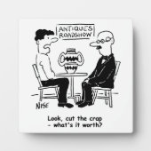 Antieke Expert. Wat is het waard grappig Fotoplaat (Voorkant)