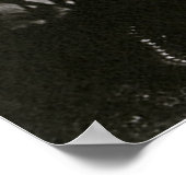 Antieke foto, sport Chicago-honkbalspeler Poster (Hoek)