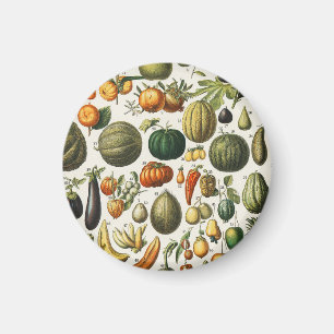 Antieke Franse botanische fruitposter kunst Magneet