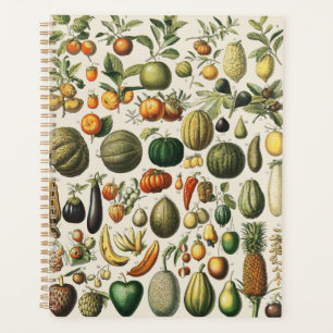 Antieke Franse botanische fruitposter kunst Planner