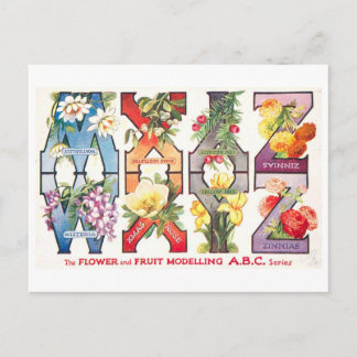 Antieke Fruit en Bloemenalfabet W-Z Briefkaart