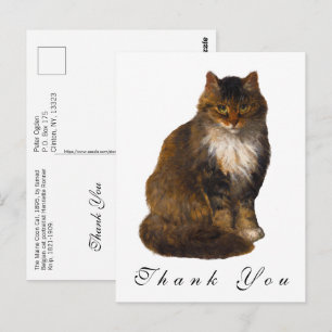 Antieke geschilderde portret van Maine Coon kat - Briefkaart