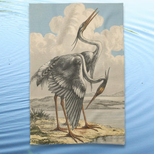 Antieke Grote Blauwe Reiger Dramatische Ornitholog Theedoek