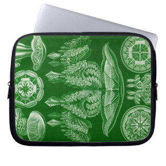 Antieke Haeckel Laptop Sleeve