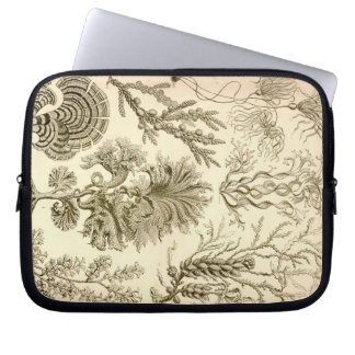 Antieke Haeckel Laptop Sleeve