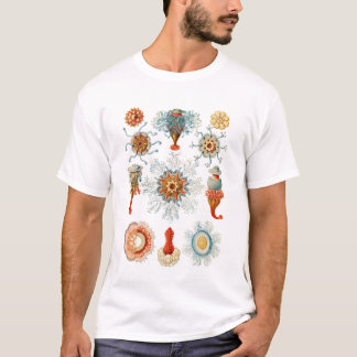 Antieke Haeckel Siphonophore Zeeleven Kwallen T-shirt