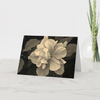 Antieke Hibiscus Kaart
