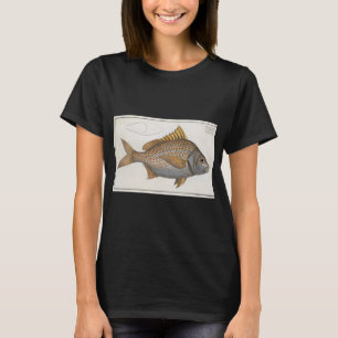 Antieke illustratie van een geelvin-gryl (1785) t-shirt