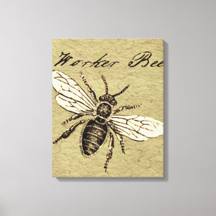 Antieke illustratie van werkbij - vintage insecten canvas afdruk