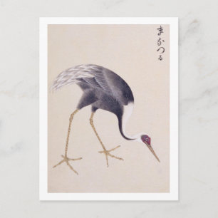 Antieke illustratie: Witnekkraanvogel Briefkaart