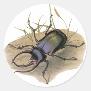Antieke insecten en kevers, Neushoornkever Ronde Sticker