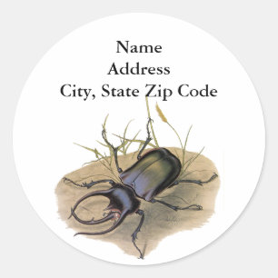 Antieke insecten en kevers, Neushoornkever Ronde Sticker