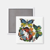 Antieke insecten of beestjes, mooie vlinders magneet (Voorkant / Achterkant)