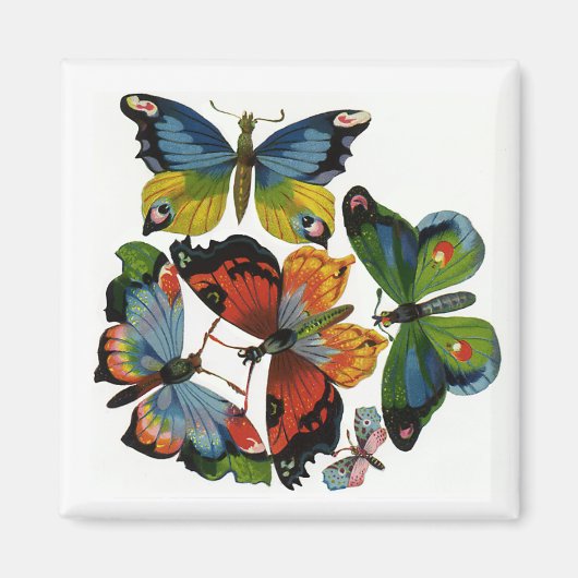 Antieke insecten of beestjes, mooie vlinders magneet (Voorkant)