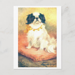 Antieke Japanse Spaniel Briefkaart
