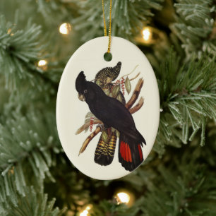 Antieke John Gould Rode Staart Zwarte Kaketoe Kuns Keramisch Ornament