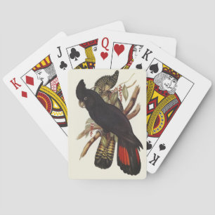Antieke John Gould Rode Staart Zwarte Kaketoe Kuns Pokerkaarten