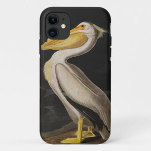 Antieke John James Audubon Witte Pelikaan Kust iPhone 11 Hoesje