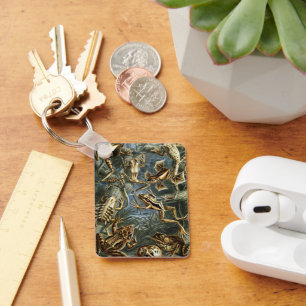 Antieke Kikkers en Padden Batrachia door Ernst Hae Sleutelhanger