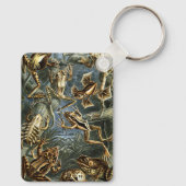 Antieke kikkers en padden Batrachia door Ernst Hae Sleutelhanger (Achterkant)