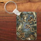 Antieke kikkers en padden Batrachia door Ernst Hae Sleutelhanger (Voorkant)