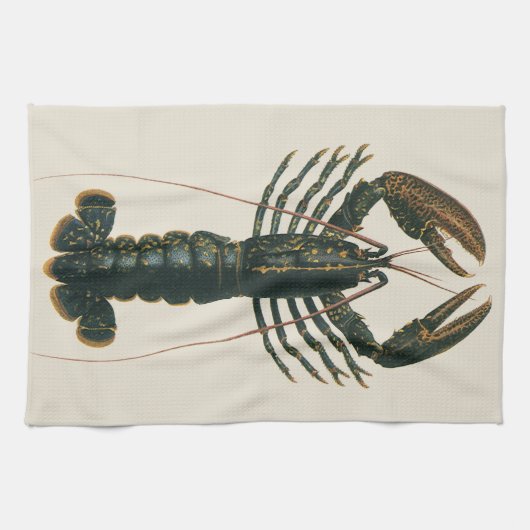 Antieke kreeft, mariene oceaanleven schaaldier theedoek (Horizontaal)