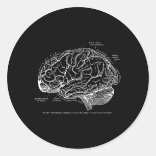 Antieke Menselijke Anatomie Hersenen T- Ronde Sticker