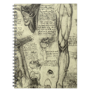 Antieke Menselijke Anatomie Keelbeen Been Leonardo Notitieboek