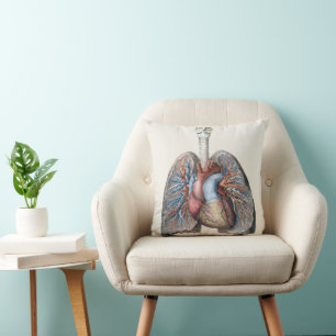 Antieke Menselijke Anatomie Longen Hart Organen Bl Kussen