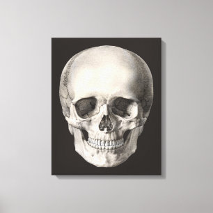 Antieke menselijke anatomie schedel, Halloween ske Canvas Afdruk