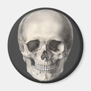 Antieke menselijke anatomie schedel, Halloween ske Magneet
