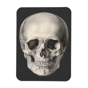 Antieke menselijke anatomie schedel, Halloween ske Magneet