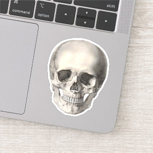 Antieke menselijke anatomie schedel, Halloween ske Sticker