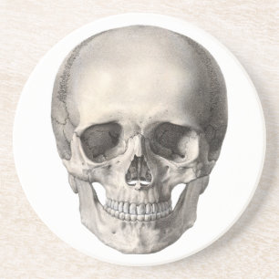 Antieke menselijke anatomie schedel, Halloween ske Zandsteen Onderzetter