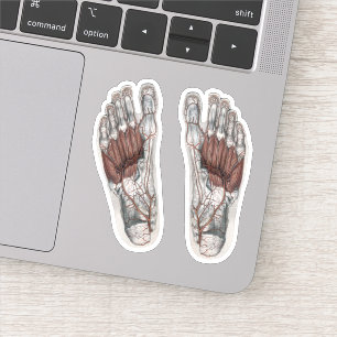 Antieke menselijke anatomie voetafdruk podiatrie v sticker