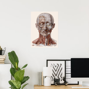 Antieke menselijke anatomie wetenschap, hoofd keel poster