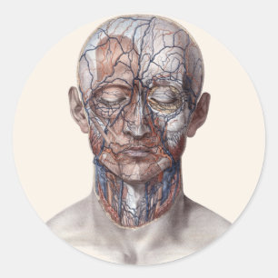 Antieke menselijke anatomie wetenschap, hoofd keel ronde sticker