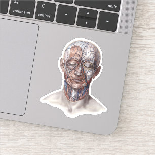 Antieke menselijke anatomie wetenschap, hoofd keel sticker