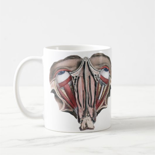 Antieke menselijke anatomie wetenschap, Oogbollen Koffiemok (Links)